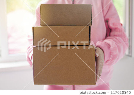Parcels in female hands, delivery concept Parcels in female hands, delivery concept 117610540
