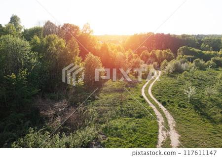 Road through green summer field and forest. Aerial Road through green summer field and forest. Aerial 117611147