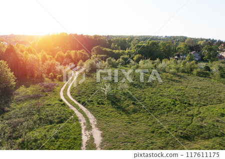 Road through green summer field and forest. Aerial 117611175
