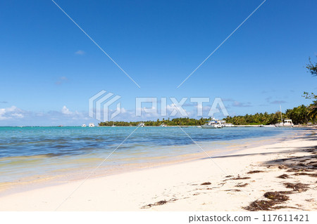 Bavaro beach in sunny day with calm ocean and white  beach, Dominican republic 117611421
