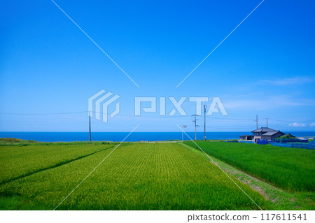 日本海美食列車可以從海裡眺望村上市大月的鄉村和海濱。 日本海美食列車可以從海裡眺望村上市大月的鄉村和海濱。 117611541