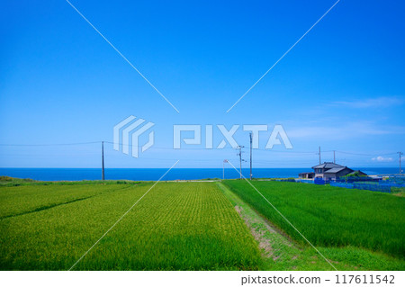 日本海美食列車可以從海裡眺望村上市大月的鄉村和海濱。 日本海美食列車可以從海裡眺望村上市大月的鄉村和海濱。 117611542