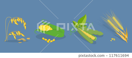 3D Isometric Flat Vector Set of Cereals , Grain Plants 3D Isometric Flat Vector Set of Cereals , Grain Plants 117611694