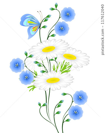 Blue flowers of flax and daisies with butterfly on white background. 117612040