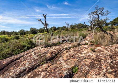 Granite rock cut anthropomorphic grave in Vale Fuzeiros at Vilarinha, Algarve, Portugal. 117612213