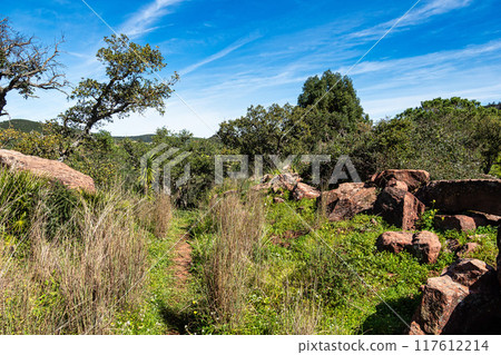 Hiking the Archaeological Circuit in Vale Fuzeiros at Vilarinha, Algarve, Portugal Hiking the Archaeological Circuit in Vale Fuzeiros at Vilarinha, Algarve, Portugal 117612214