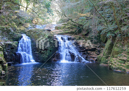 Akame 48 Waterfalls: A famous spot for viewing autumn leaves 117612259