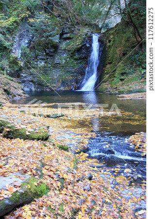 紅葉名勝:赤龜四十八瀑布 紅葉名勝:赤龜四十八瀑布 117612275