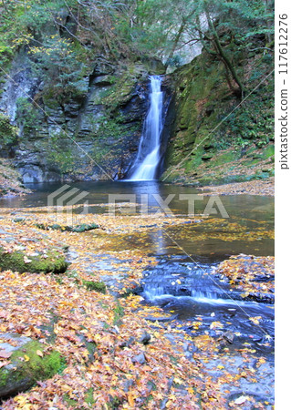 紅葉名勝:赤龜四十八瀑布 紅葉名勝:赤龜四十八瀑布 117612276