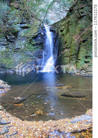 紅葉名勝:赤龜四十八瀑布 紅葉名勝:赤龜四十八瀑布 117612278