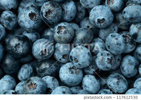 Blueberry photography in a bowl on rustic background Blueberry photography in a bowl on rustic background 117612530