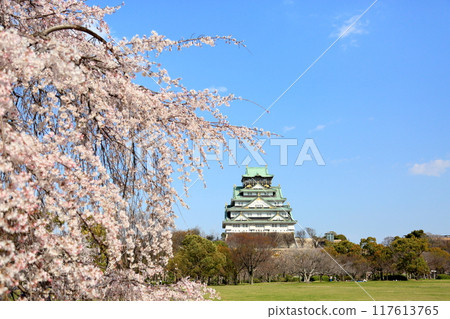 Osaka Castle castle tower 117613765