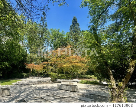 Landscape view of Japanese park with trees and grass on a sunny day in Chorzow, Silesia, Poland 117613908