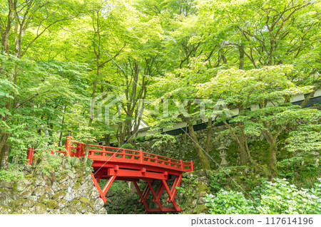Ibigawa Town, Gifu Prefecture: The red bridge at Yokozoji Temple, the first temple of the 33 Western Mino Pilgrimage Sites, surrounded by fresh greenery 117614196