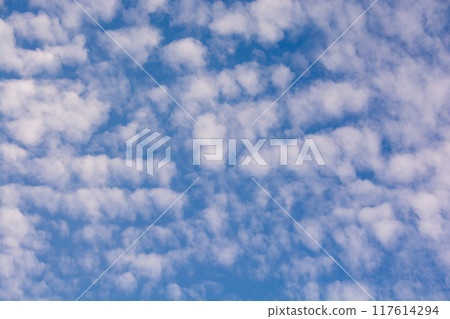 White clouds floating in the blue sky White clouds floating in the blue sky 117614294
