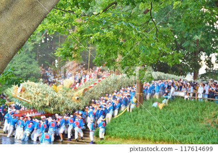 埼玉四年一次的雨天 117614699