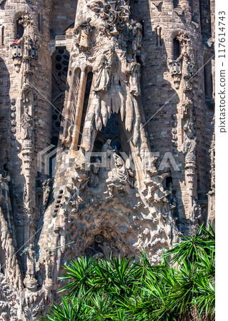 Sagrada Familia  117614743