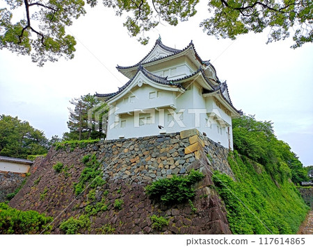 Southeast corner tower 117614865