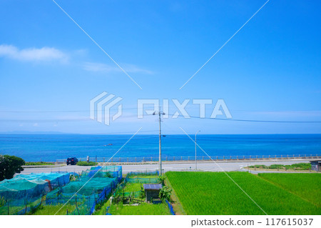 View of the coast of Wakikawa, Murakami City from a nautical mile away. Rice fields, rice paddies, Sea of Japan 117615037