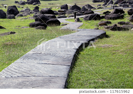 Concrete pathway in the park with lawn. Concrete pathway in the park with lawn. 117615962