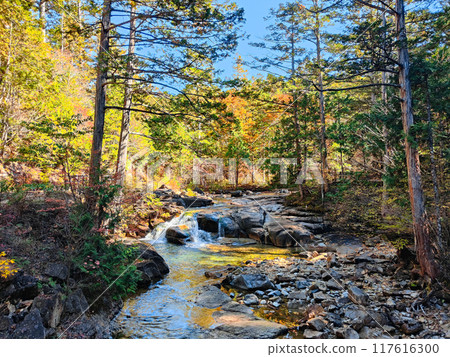 Akasawa Valley (Autumn): Akasawa Natural Recreation Forest 117616300