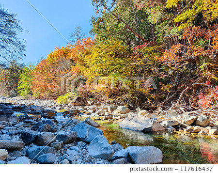 Akazawa Valley (Autumn) 117616437