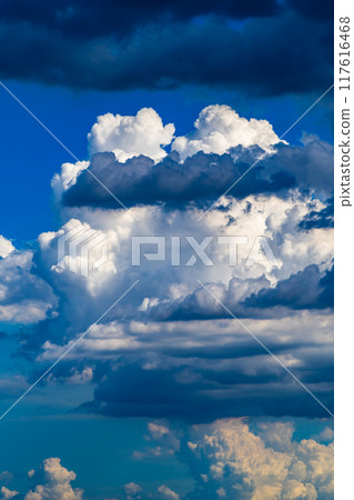 Cumulonimbus clouds rising in the summer sky Vertical position c-2 High saturation contrast 117616468