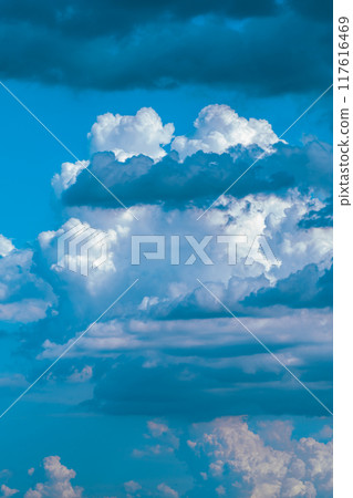 Cumulonimbus clouds rising in the summer sky Vertical position c-3 Light color Cumulonimbus clouds rising in the summer sky Vertical position c-3 Light color 117616469