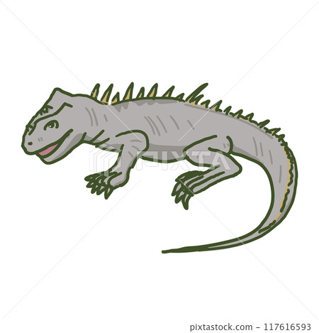 海鬣蜥 117616593