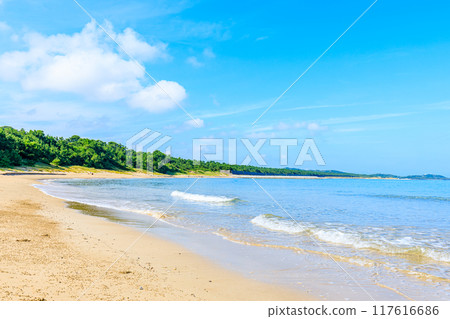 Summer beach at Satsuki Matsubara, Munakata City, Fukuoka Prefecture 117616686