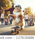 Cat playing skateboard 117616886