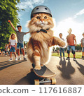 Cat playing skateboard 117616887