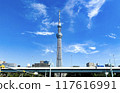 Tokyo Sky Tree seen from the bridge 117616991