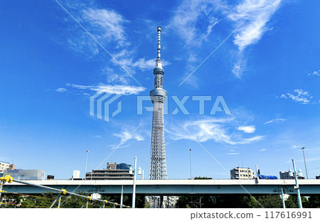 Tokyo Sky Tree seen from the bridge Tokyo Sky Tree seen from the bridge 117616991