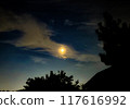 Clouds overlapping the moon shining in the night sky 117616992