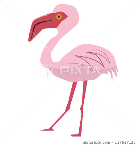 Flamingo  117617125