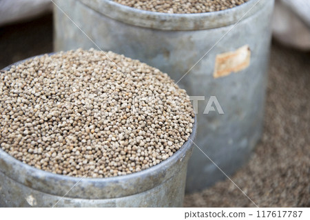 Perilla herb seed in bowl Perilla herb seed in bowl 117617787