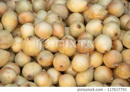 Organic fresh Onions in the market, vegetable background concept. Organic fresh Onions in the market, vegetable background concept. 117617791