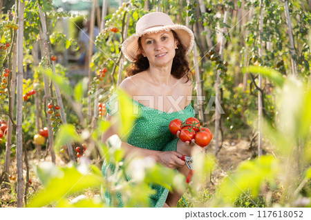 Adult woman posing with tomatoes in garden Adult woman posing with tomatoes in garden 117618052