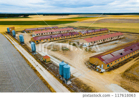 Farm for growing pigs in central Spain Farm for growing pigs in central Spain 117618063