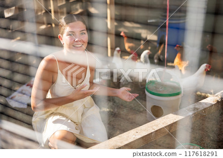Young woman works in chicken coop, feeds birds Young woman works in chicken coop, feeds birds 117618291