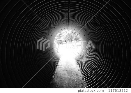Beyond the tunnel 117618312