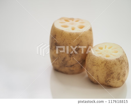 兩根並排的蓮藕(白底,有邊距) 兩根並排的蓮藕(白底,有邊距) 117618815