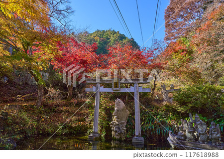Torii gate of Golden Pond at Sengataki Station of Shosenkyo Ropeway in Kofu City, Yamanashi Prefecture in autumn Torii gate of Golden Pond at Sengataki Station of Shosenkyo Ropeway in Kofu City, Yamanashi Prefecture in autumn 117618988