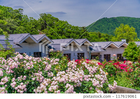 [Yamanashi Prefecture] Beautiful roses in full bloom at Fujikawa Craft Park Rose Garden 117619061