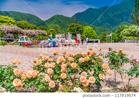 [Yamanashi Prefecture] Beautiful roses in full bloom at Fujikawa Craft Park Rose Garden 117619074