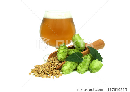 Craft beer in a glass with fresh hops and barley grains isolated on white background Craft beer in a glass with fresh hops and barley grains isolated on white background 117619215