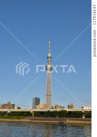 Skytree on a clear day in Tokyo 117619247