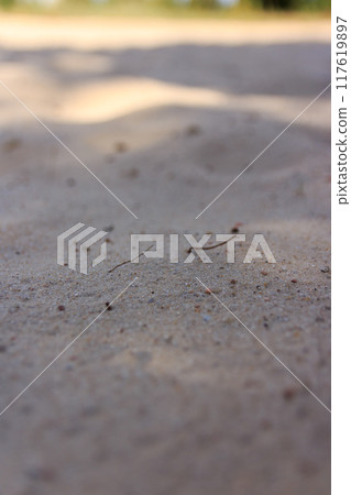 The beauty of golden sand in the sunlight  117619897