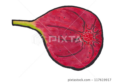 Hand-painted watercolor painting (etegami) "Fig" Hand-painted watercolor painting (etegami) "Fig" 117619917
